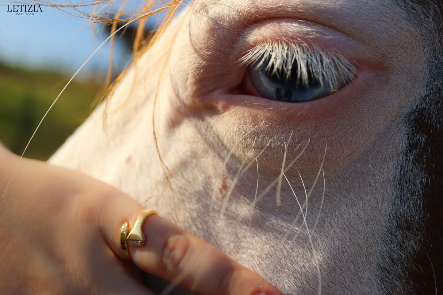 Chiodo Oro e Diamanati