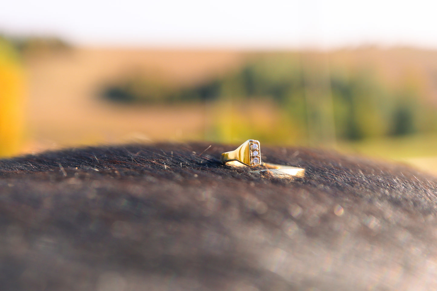 Chiodo Oro e Diamanati